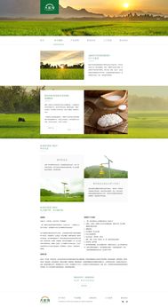 打造卓越體驗(yàn) 大家發(fā)食品網(wǎng)頁(yè)設(shè)計(jì)與軟件開發(fā)全攻略